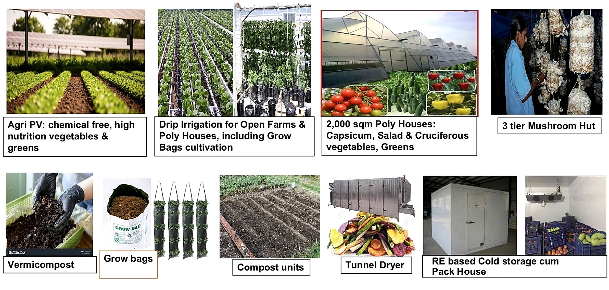 SVF — Agri-PV chemical-free vegetables and greens, drip irrigation for open farms and poly houses including grow bags, 2,000 sqm poly houses, 3-tier mushroom hut, vermicompost, compost units, tunnel dryer, RE-based cold storage cum pack house